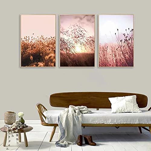 Cuadros nórdicos de campo rosa 70x100cm Juego de 3 lienzos de atardecer sin marco para salón