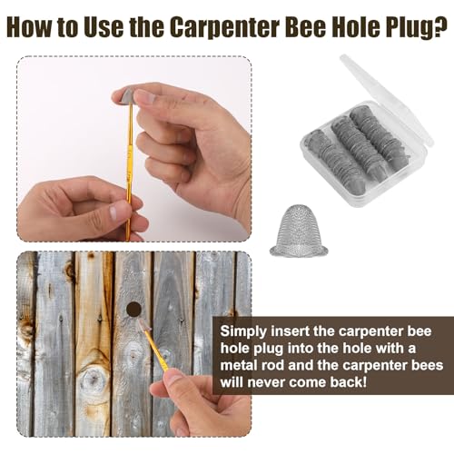 Image of 50pcs Carpenter Bee Hole Plugs, Stainless Steel Tapered Carpenter Bee Hole Cork Fix Covers with Metal Install Tool Repair Kit Carpenter Bee Filler for Porches Fences Wood Structures