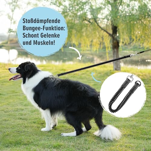 Aystkniet Schleppleine 5M für Hunde, Hundeleine mit Abnehmbare Elastische Kordel | Abschließbarer Haken | Gepolsterter Griff, Lange Laufleine Trainingsleine für Mittlere und Große Hunde