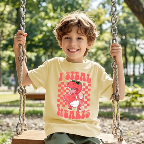 Toddler Boys Girls Valentine's T-Shirt Love Heart Truck Dinosaur Shirt Cotton Kids Tee Tops 2-7 Years4