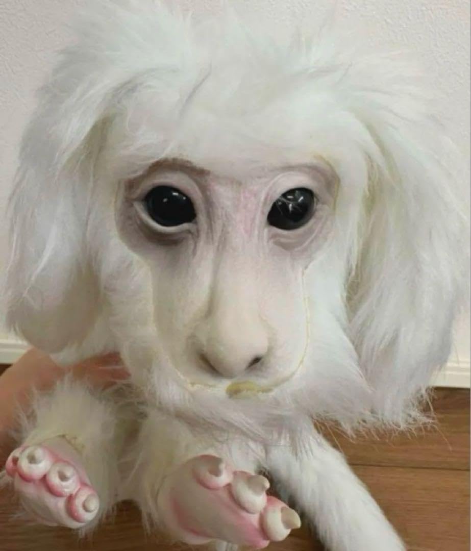 特大80㎝ ファルコン　ネバーエンディングストーリー　ぬいぐるみ 人形　映画 51YtBv4-jQL._AC_UF894,