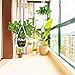 JES&MEDIS 5-Pack Macrame Plant Hangers with 5 Hooks, Different Tiers, Handmade Cotton Rope Hanging Planters Set Flower Pots Holder Stand, for Indoor Outdoor Boho Home Decor