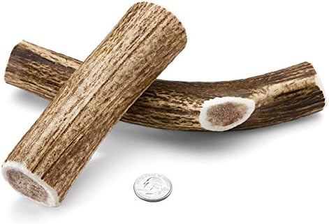 Mountain Dog Chews - Medium Whole Elk Antler 2 Pack - Elk Antler Dog Chew - Grade A Premium - Organic - Made in USA - No Mess