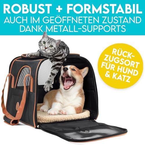 HUND IST KÖNIG Hundetasche & Katzentasche bis 8kg - Hochwertige Hundetragetasche - Transporttasche für Katzen - Faltbare Mobile Tragebox für Hunde & Katzen