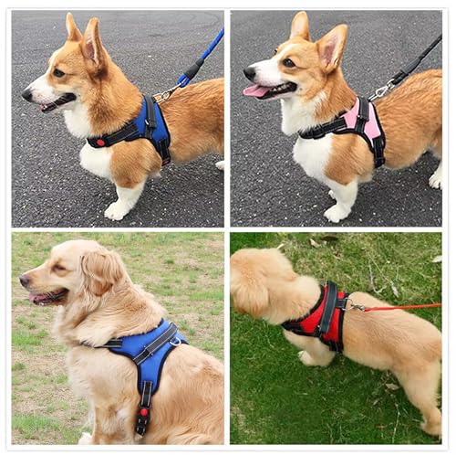 MENGTEQI Professionelles Hundegeschirr für Hunde, bequem und atmungsaktiv, anpassbar für kleine, mittelgroße und große Hunde, geeignet für Spaziergänge, Laufen, Training usw. (Black, M)