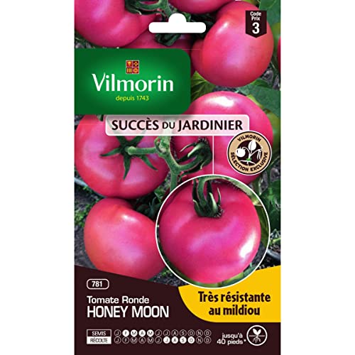 Tomate Honey Moon HF1