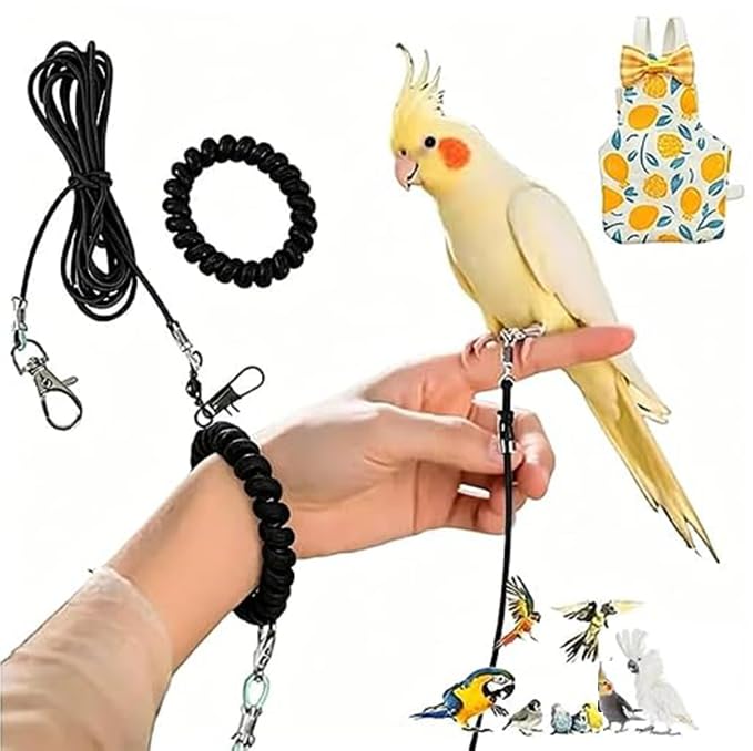2Pcs Harness for Birds, 300CM Bird Harness, Outdoor Control, Bird Leash with Length, Blue Colour with Number Four Leg Ring and Lemon Diaper (Black)-image-44