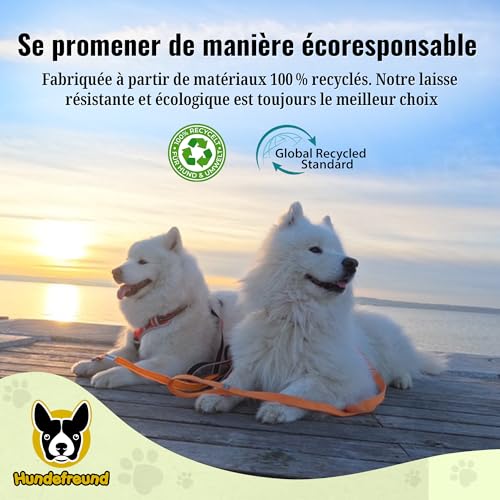 Laisse pour chien écologique en polyester recyclé résistante 140cm