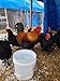 (12) Heritage Pure Breed Fertile Hatching Eggs Variety Pack NPIP Certified Five Acre
