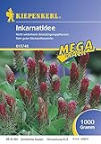  Incarnatklee Kardinal 1 Kg
