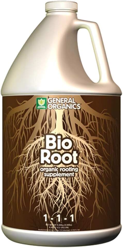 Generic root ca. Био корень. Био корень. Globalsign. Generic root ca 3 истёк.