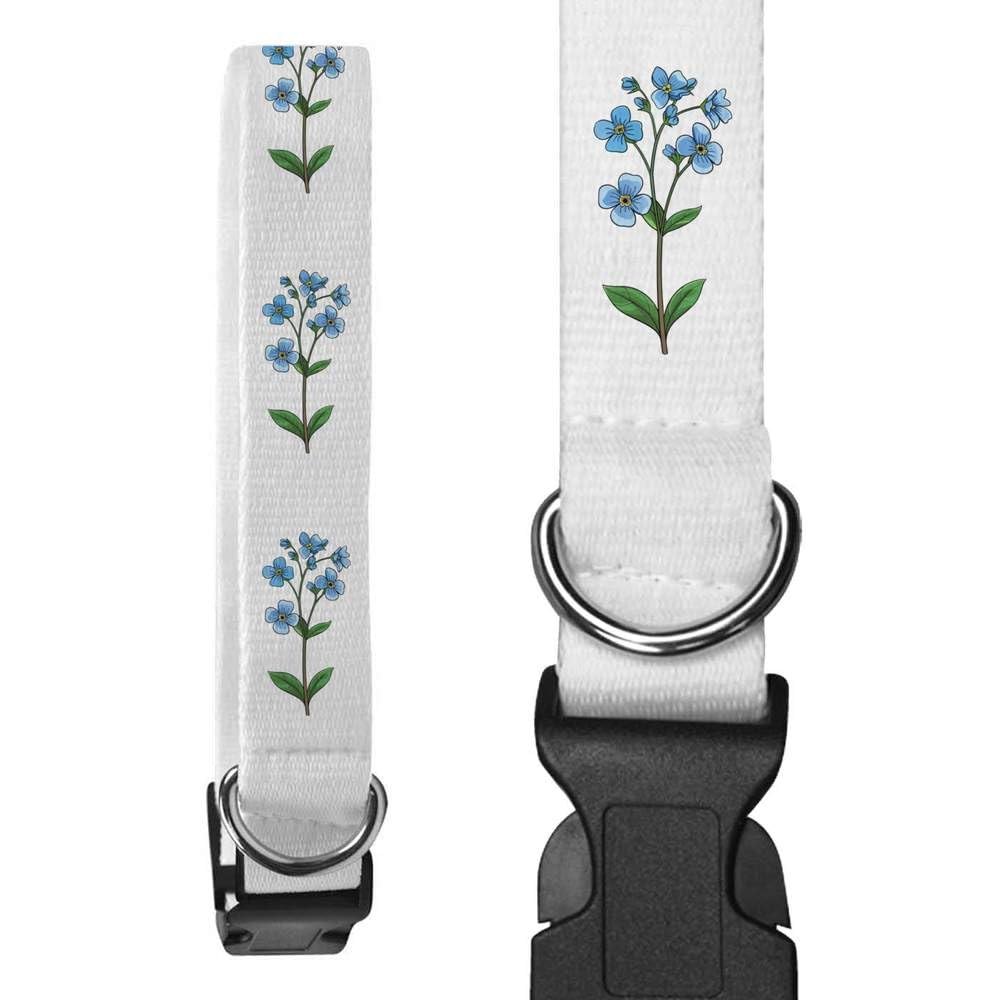 Small 'Forget Me Nots' Dog Collar (PR00056243)