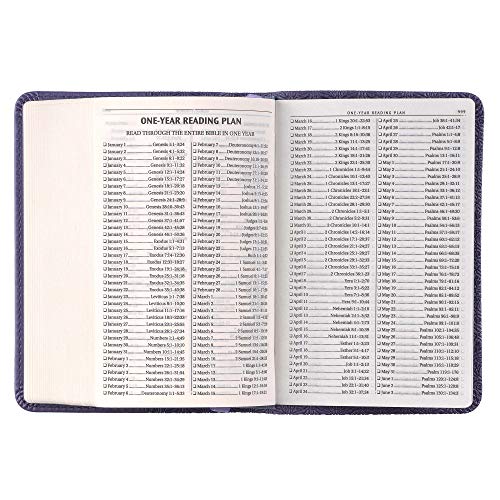 KJV Bible Mini Pocket Purple