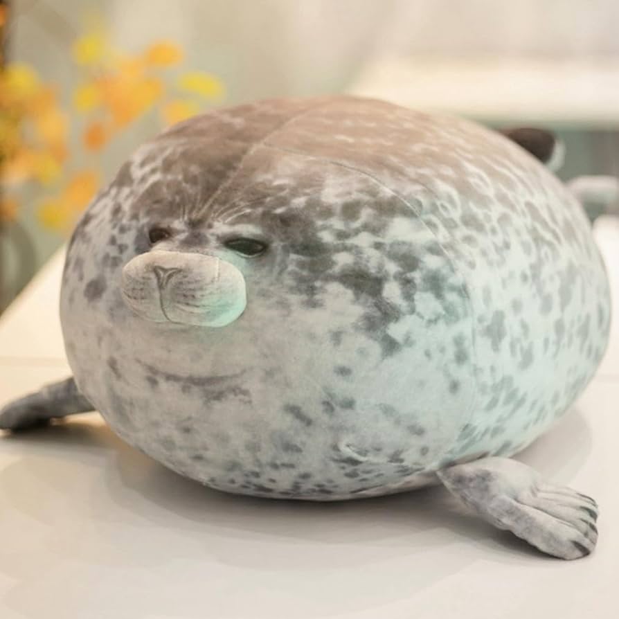 海豹　アザラシ　超ボールタイプ 海豹 アザラシ 超ボールタイプ M*次様 アガベ・チタノタ