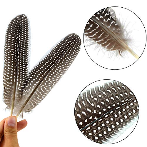 Dxhycc 50 Pcs 15-20Cm Natural Spotted Feathers Pheasant Feathers For Diy Crafts Decoration Collection Wedding Party Home Decorations #TOP2