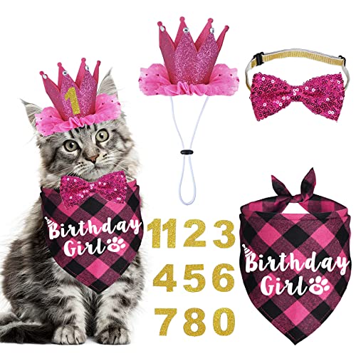 JOTFA Cat Birthday Party Supplies - Cat Outfits Kitten Bandanas with Hat, Crown, Bow Tie, Number for Kitten Decorations (Rose)