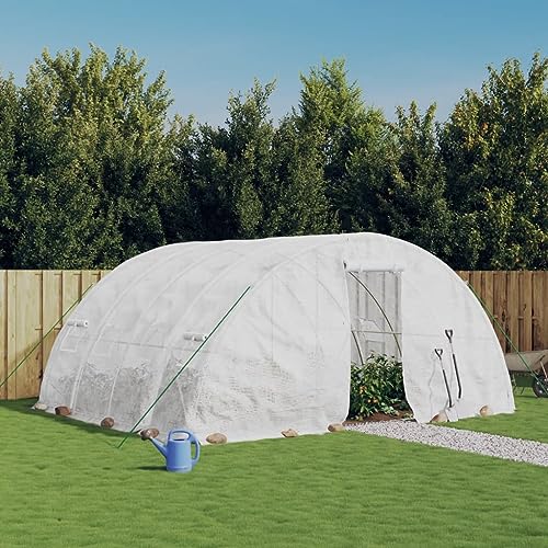 CZYLJLK Invernadero transitable con Estructura de Acero galvanizado, Blanco, 20 m², 5x4x2,3 m, Cubierta de PE Resistente a los Rayos UV, Ideal para el Cultivo de Plantas Grandes en Jardine