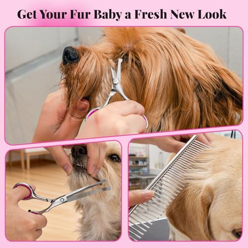 Pawaboo Hundepflege Schere Set, 5 Stück Professionelle Hundesalon Schere Kämmen Fellschere mit Runder Sicherheitspitze für Haustiere Hunde Katze Effilierschere Haarpflege Fellpflege Schneiden - Rosa