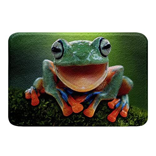 10 Best Bath Mat For Kids Frogs September of 2022 BabyStuffLab