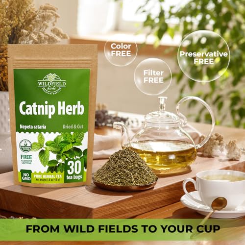 Image of 30 Bags Catnip Tea Catnip Herb Tea (Nepeta L.) - 30 Count 1.5g Bags Cat Nip Leaf Herb Hierba Gatera