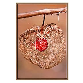 SIGNWIN Framed Canvas Wall Art Chinese Lantern Flower...