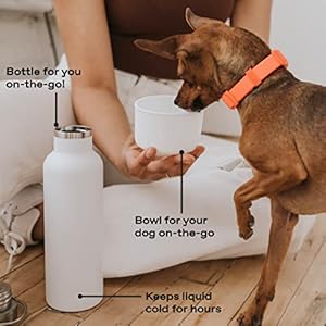 Springer dog and me 24oz stainless steel insulated water bottle  cold for 12+ hours  portable dog water bottle with integrated travel water bowl for dogs portable dog water bottle  white   cucciolini doodles