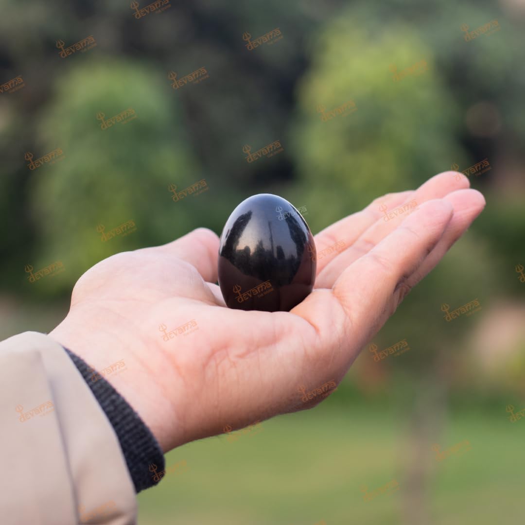 GANDAKI RIVER Natural Black Stone Shaligram Shila for Pooja for Divine Blessings