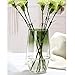 Produktbild Glasblumenvase, Ins Style Kristallklare Vase Dekorative Vase, Handgemachte Blumenblume Pflanzenbehälter Terrarien Glasvase für Blumen Hydroponik Pflanze, Hochzeit Einweihungsparty Home Office Dekor