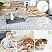 2PC Cable Management Box with Lock,Acrylic,Cable Organizer Box & Power Strip Cover, Wire Organizer for Surge Protector Power Strip,TV Computer,Cable Wires of Home,Office,Child and Pet Proof