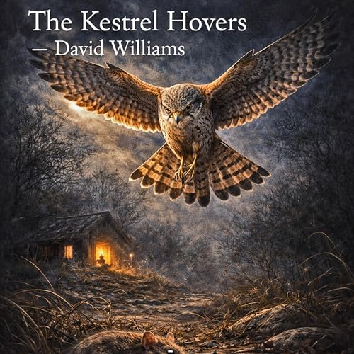 The Kestrel Hovers cover art