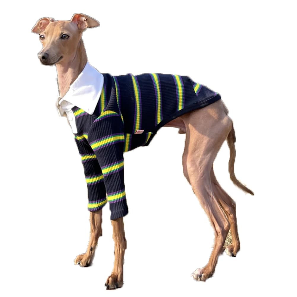 D Doggy Star Italian Greyhound Clothes Collared Stretchy T Shirts Whippet for Dogs (3XL,Collared Navy) — image 1