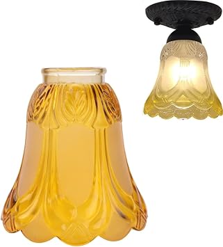 Ceiling Fan Chandelier -Elegant Frosted and Clear Glass Light Shade Replacement - Stylish Upgrade for Contemporary Lighting Fixtures