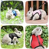 JYTDBCS Rabbits Harness, rabbit harness With Elastic Lead, Adjustable Rabbit Harness And Lead Set, Mesh Vest for Hamsters Small Cats Guinea Pig Walking，rabbit harness and lead set，jytdbcs rabbit harne - Image 6