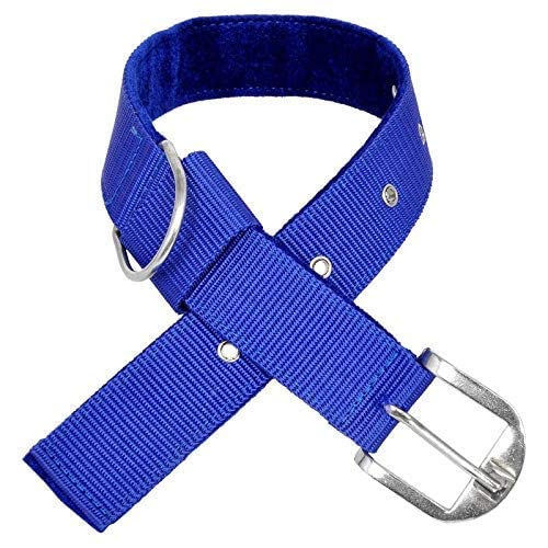 JAPIN Nylon Double Strip Dog Collar Belt for Large Dogs (Size-1.25 Inch) (B0BR3MM3JB) Amazon Price History, Amazon Price Tracker