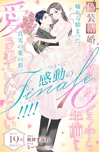 偽装結婚したライバルにどうやら10年前から愛されていたらしい 分冊版(19) (姉フレンドコミックス)