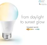 Globe Electric Wi-Fi Smart 10 Watt (60W Equivalent) Tunable White Dimmable Frosted Led Light Bulb, No Hub Required, Voice Activated, 2000K - 5000K, A19 Shape, E26 Base 34204