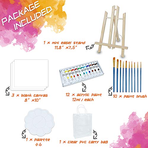 NIECHO Conjunto de pintura acrílica para crianças/iniciantes – Kit de pintura artística com 28 peças