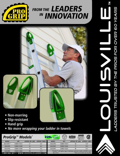 Louisville Ladder AE4224PG Extension Ladder, 24 Feet