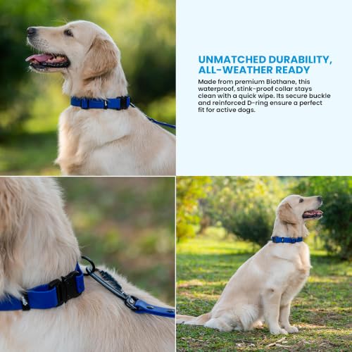 Image of Adil's Biothane Waterproof Dog Collar, Dog Leash & Collar Leash Combo | Heavy Duty TPU Coated Webbing | Adjustable Quick Release Buckle | Odour Resistant (Blue, L-22, Collar only)