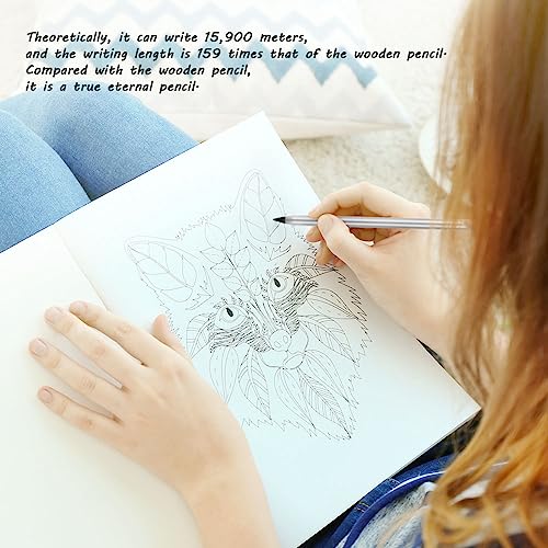 Image of AUAUY Stylish Metal Pencil, 2PCS Premium Infinity pencil, Reusable Everlasting Pencil with 2 Replaceable Nibs for Writing Drawing Sketching, Unique Xmas Birthday Gift for Kids Student Adult Artists