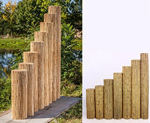 bambus-discount.com Schilfrohrmatten Premium Beach, 160 hoch x 600cm breit Sichtschutz Matten Windschutzmatten – Bild 5