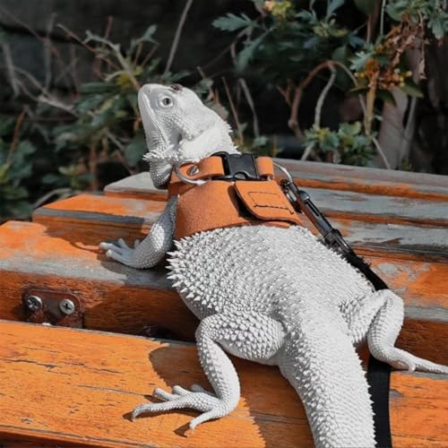 Arnés de dragón barbudo chaleco para caminar reptiles correa ajustable animales pequeños 4