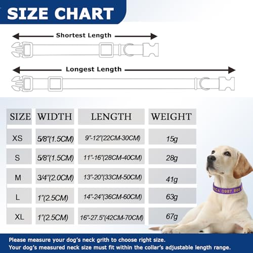 Weiches Neopren-Hundehalsband mit Polsterung & personalisiertes Nylon-Haustierhalsband mit Quick-Release-Schnalle und individueller Stickerei für Name und Telefonnummer, Türkis