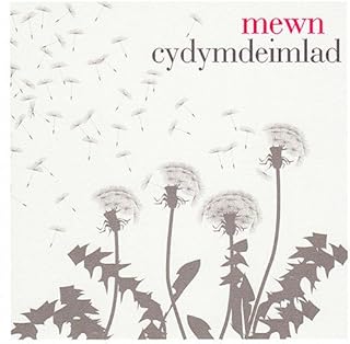 Claire Giles Greeting Cards, Welsh Sympathy Card, Mewn Cydym