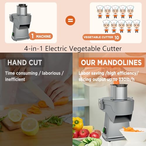Cortadora eléctrica de verduras multifuncional 200W 4 en 1 miniatura 2