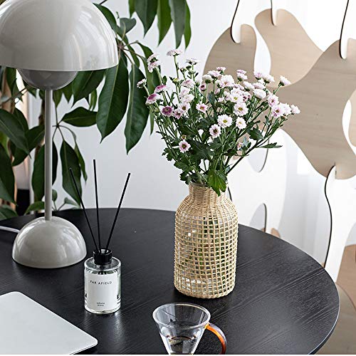 Tiamu Glazen vaas droogvaas van stroglas, Japanse creatieve vaas kan waterplanten huisdecoratie ornamenten zijn (8,5 x 16 x 4,5 cm) - Afbeelding 8