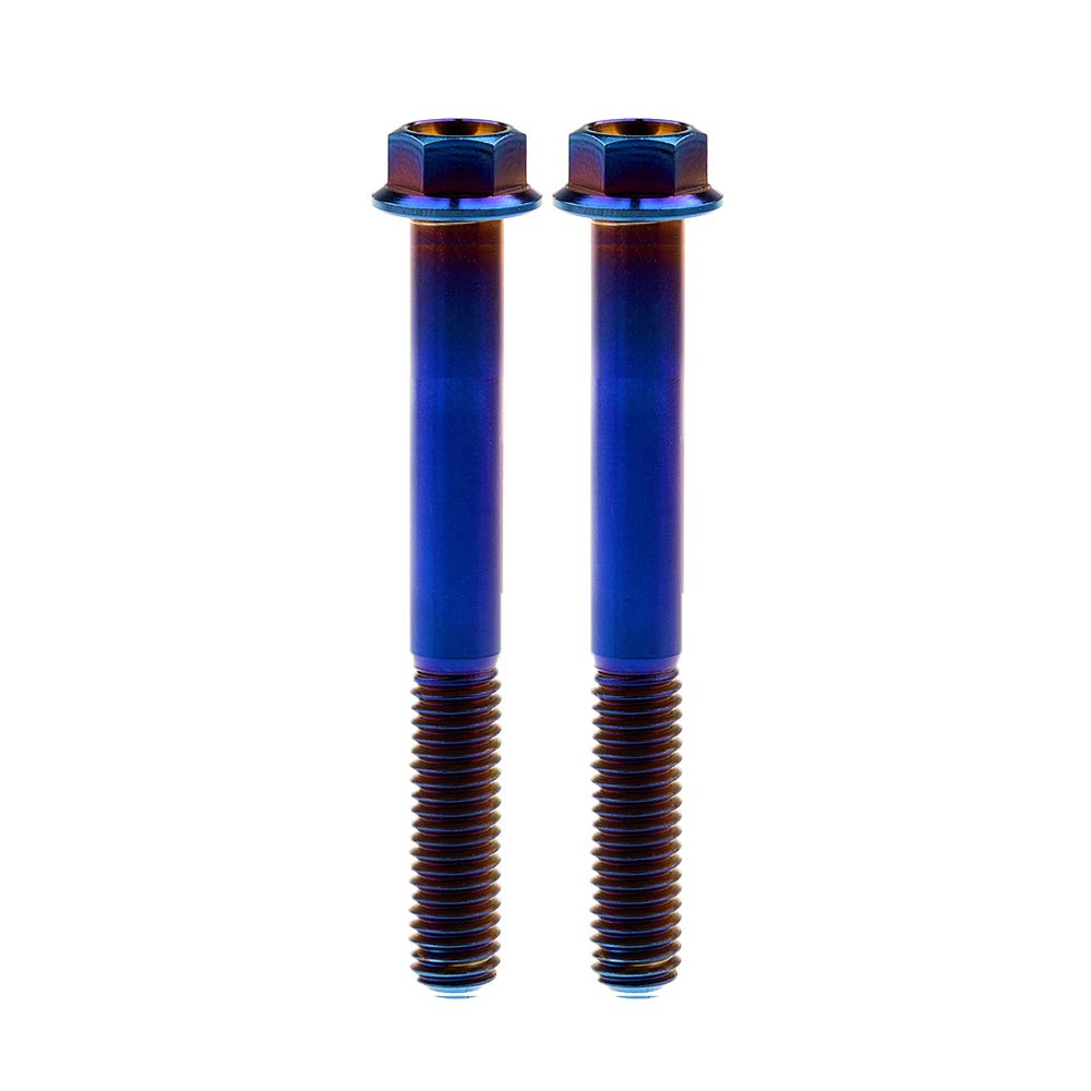 RuifuM8x15 20 25 30 35 40 45 50 55 60 65 mm Pitch 1.25mm Titanium Flange Head Hex Bolts Screws Pack of 2 (M8x60mm, Blue)
