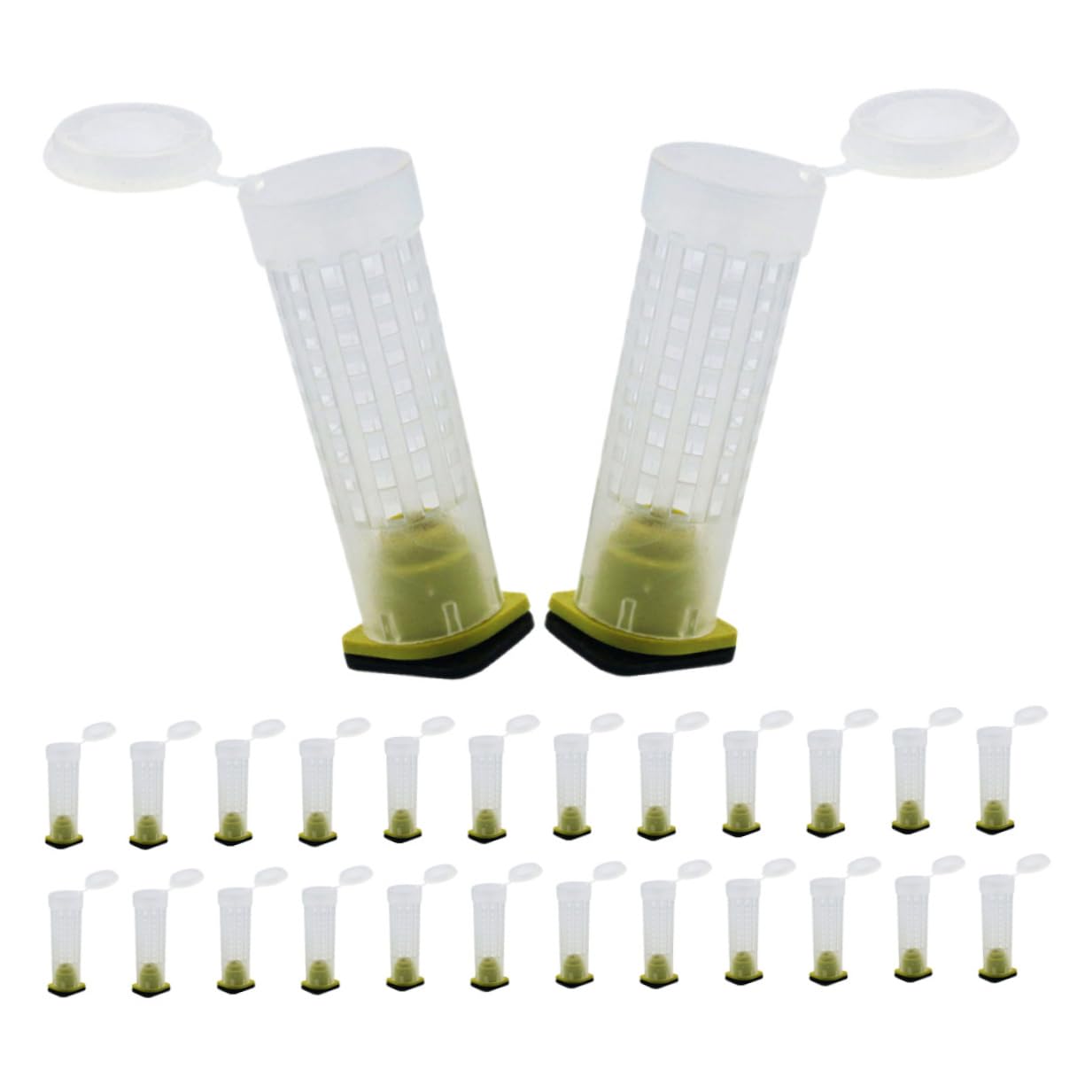 Garneck 4 Set Copertura Per Allevamento Api Protezione Bee Cage Con Design Ventilato Attrezzatura Per Apicoltura E Facile Da Utilizzare Per Apicoltori E Allevamento Delle Api 40 Pezzi * 4