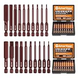 Amartisan 20-Piece Hex Head Allen Wrench Drill Bit Set, Metric and SAE S2 Steel Hex Bits Set, Magnetic Tips, 2.3' Long With Storage box.