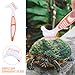 BESTonZON 3pcs Turtle Shell Cleaning Brush Set Reusable Turtle and Tortoise Mud Cleaner Sturdy Bristles for Care and Shell Maintenance